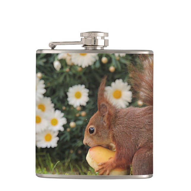 Petaca Red Squirrel and Daisies Cute Photo (Anverso)