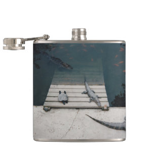 Petaca Reptiles Basking