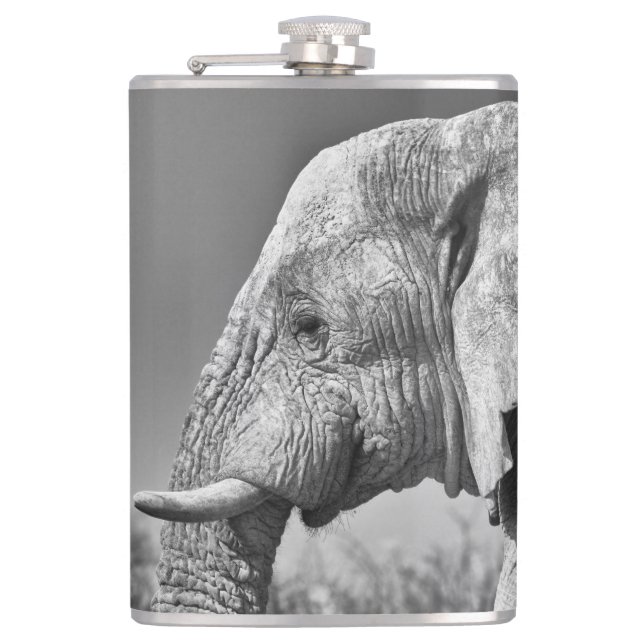 Petaca Retrato de elefante (Anverso)