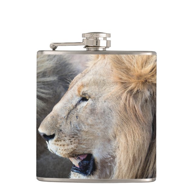 Petaca Retrato de león (Anverso)