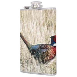 Petaca Ring Neck Pheasant en Meadow