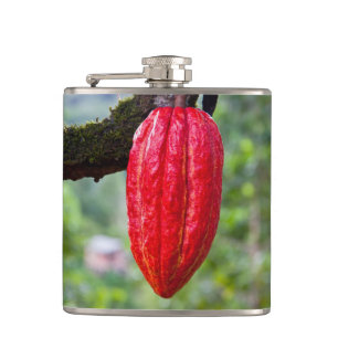 Petaca rojo de la vaina de cacao