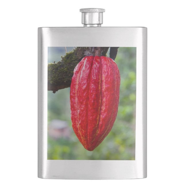 Petaca rojo de la vaina de cacao (Anverso)