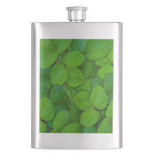 Petaca Sacro Basil Hojas de la Moneda Verde de Tulsi