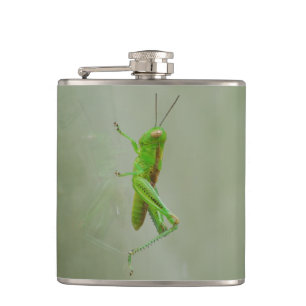Petaca Saltamontes verde