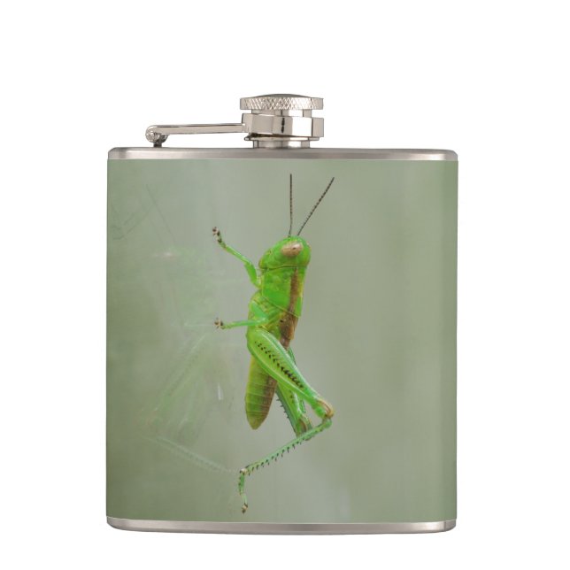 Petaca Saltamontes verde (Anverso)