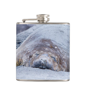 Petaca Sello elefante