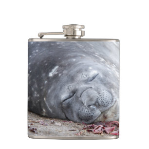 Petaca Sello elefante