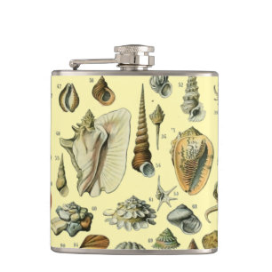 Petaca Shell de conchas marinas Mollusk Clam Elegante Art