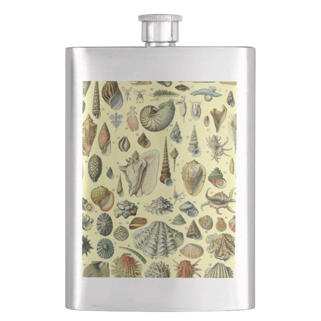 Petaca Shell de conchas marinas Mollusk Clam Elegante Art (Anverso)