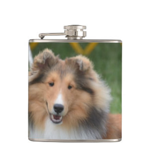 Petaca Sheltie lindo