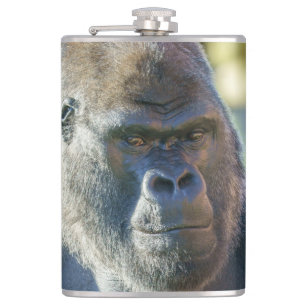 Petaca Sorprendente café de Silverback