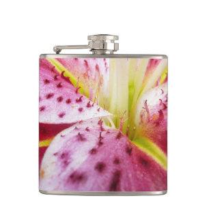Petaca Stargazer Lily Bright Magenta Floral