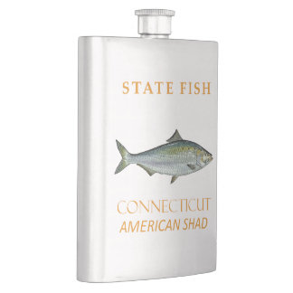 Petaca Territorio de Connecticut Pescar la Sábalo America