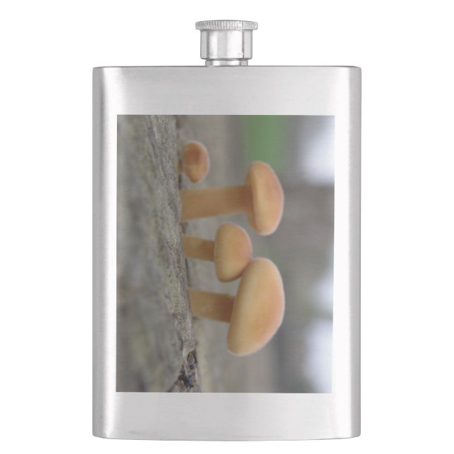 Petaca Tiny Toadstoides Macro Flask (Anverso)