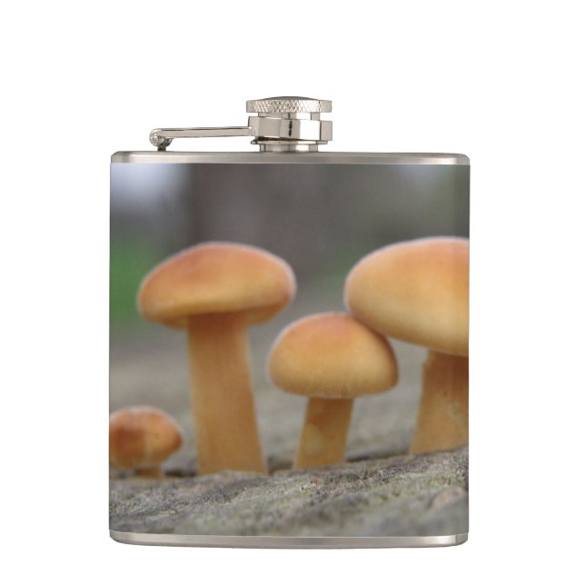 Petaca Tiny Toadstoides macro Flask (Anverso)