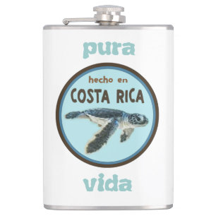 Petaca Tortuga marina bebé, Costa Rica, matamoscas de Pu