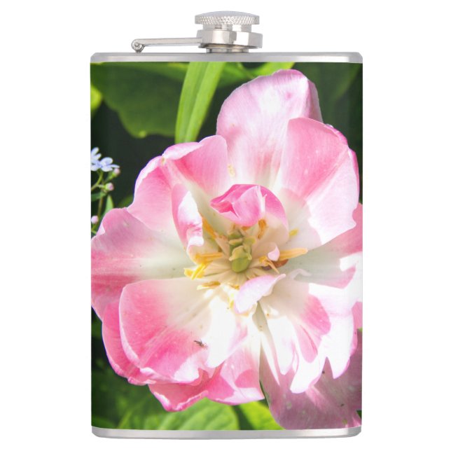 Petaca Tulipán rosado (Anverso)