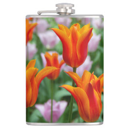 Petaca Tulipanes naranjas brillantes en el parque