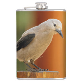 Petaca Un curioso cachifre de Clark