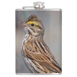 Petaca Una Inquisitiva Espuma De Savannah