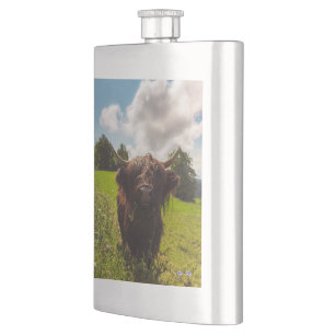 Petaca Vaca negra de tierras altas pastoreando verde luz 