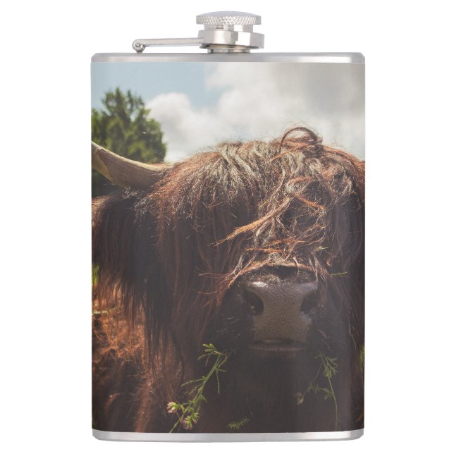 Petaca Vaca negra de tierras altas pastoreando verde luz  (Anverso)