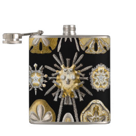 Petaca Vintage Sea Urchins Sand Dollars por Ernst Haeckel