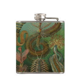 Petaca Vintage Worms Annelids Chaetopoda de Ernst Haeckel