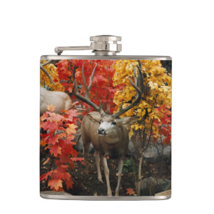 Petaca Whitetail En Otoño