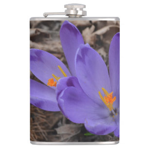 Petaca Woodland Crocus