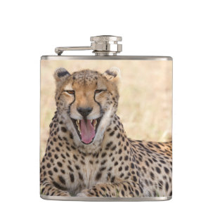 Petaca Yawning Cheetah
