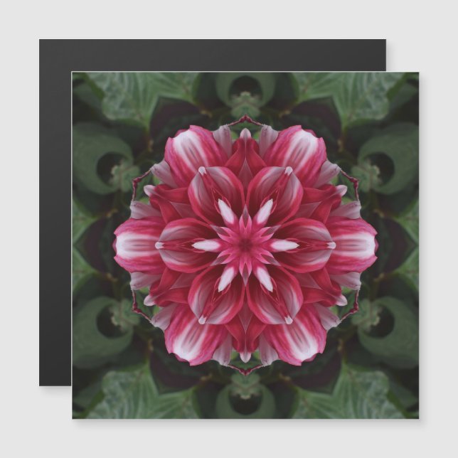 Petal Symphony Magnetic Card (Anverso/Reverso)