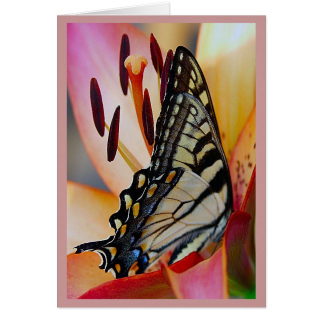 Petales de bonito (Frente)