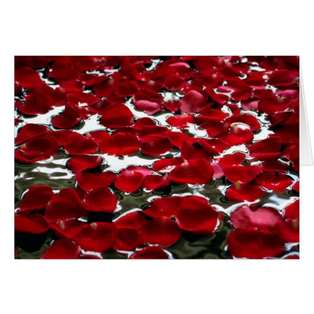 PÉTALOS COLOR DE ROSA EN EL AGUA (Anverso (Horizontal))