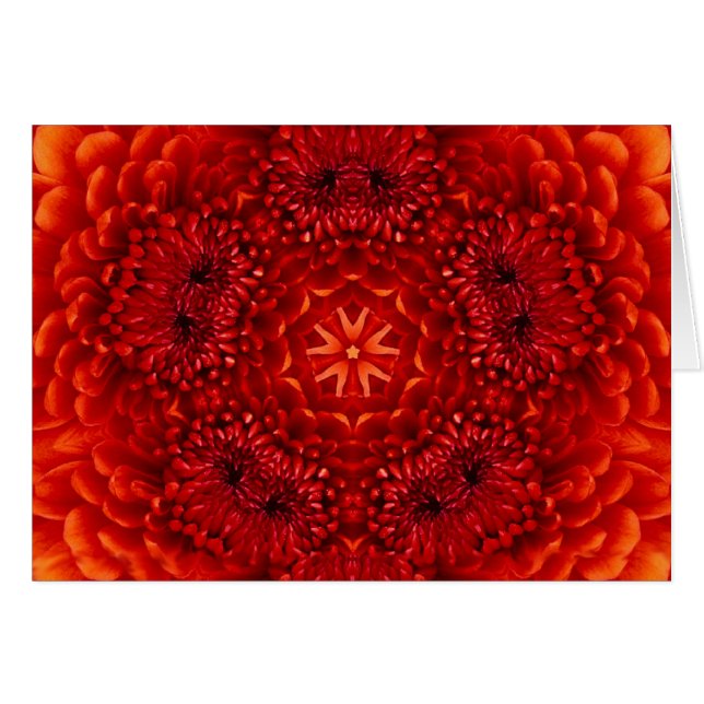 PÉTALOS DE FLORES DE DALIA ROJA (Anverso (Horizontal))
