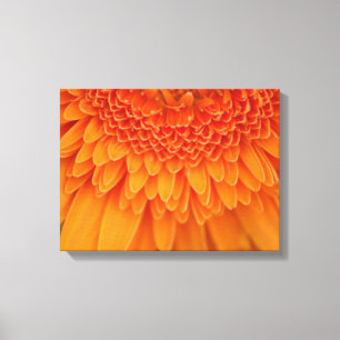 Pétalos de flores - Lienzo envuelto