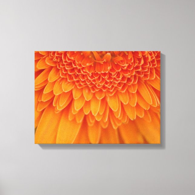 Pétalos de flores - Lienzo envuelto (Anverso)