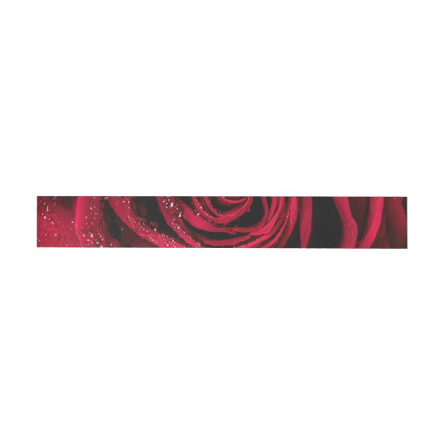 Pétalos de Rosa 1 (Individual)