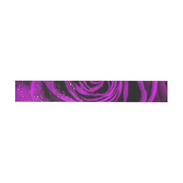Pétalos de Rosa 2 (Individual)