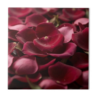 Pétalos de Rosa Roja Profunda Baldosa Cerámica Flo