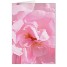 pétalos de rosa rosa pálido
