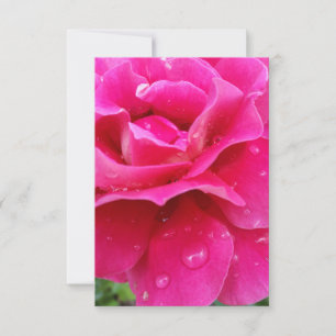 pétalos de rosa rosa rosa rosado