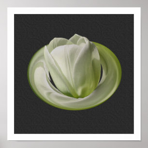Pétalos de Tulipán Blanco Arte Floral
