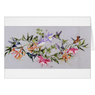 Pétalos del colibrí envueltos