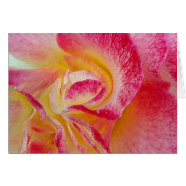 pétalos rosados amarillos (Anverso (Horizontal))