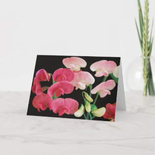 Pétalos rosados en tarjetas de felicitación de la