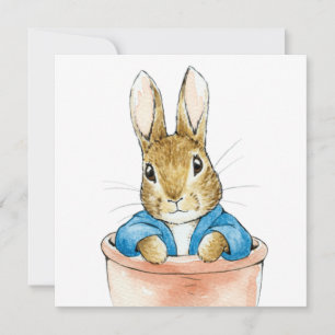 Peter, conejo sentado en una carta de maceta