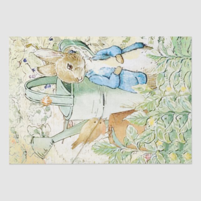 Peter Rabbit y el papel de los tejidos de aves (Anverso)