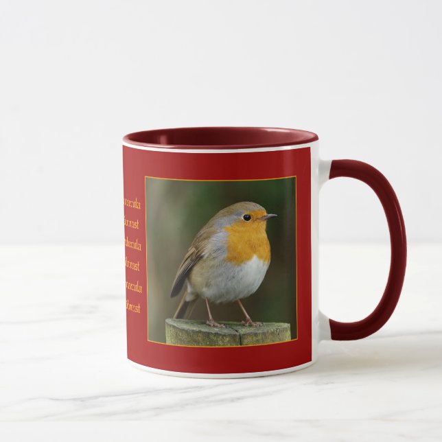 Petirrojo en la taza del poste (Derecha)